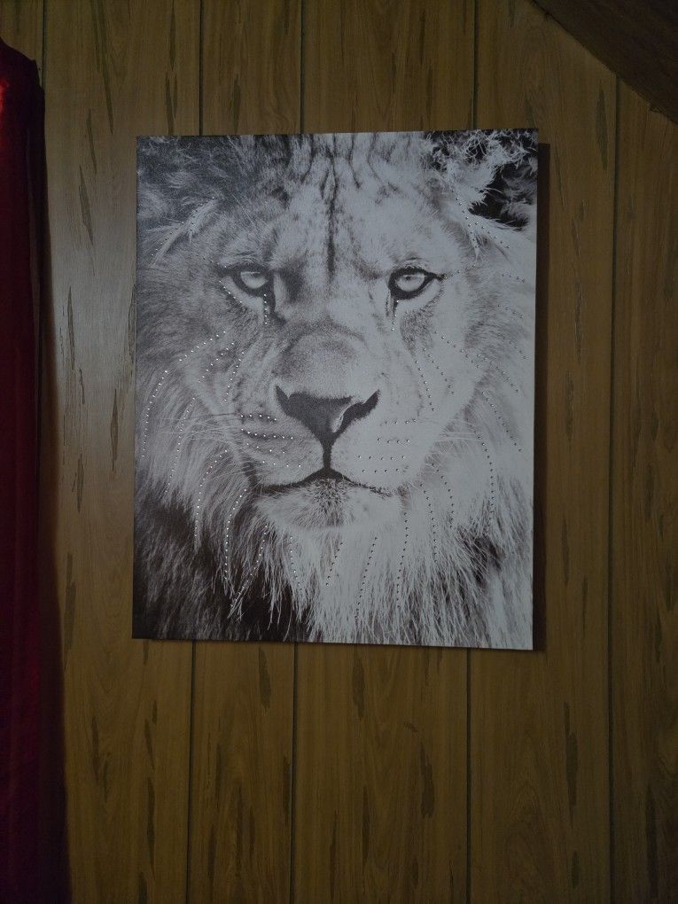 Cuadro En Canvas Grande Leon