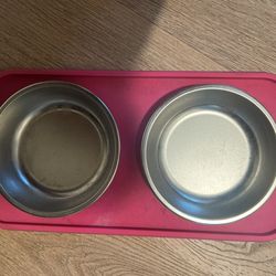 Dog Bowl
