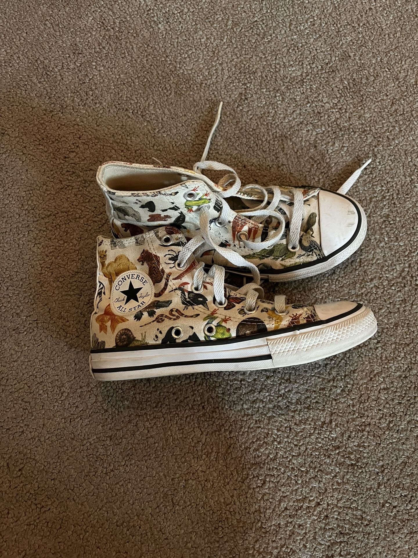 Kids Dinosaur Converse
