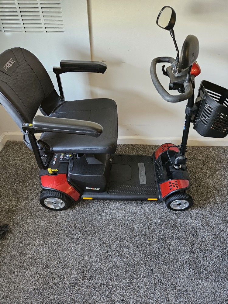 Electric Scooter
