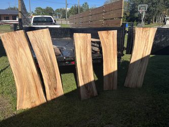 Maple And Camphor Slabs 