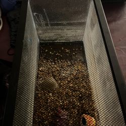 10 Gallon Fish Tank