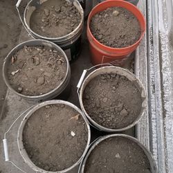 Clean Dirt in  5 gallon buckets for easy Handling 