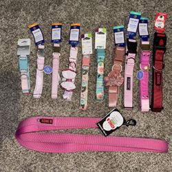 Dog Collars & Leashes 