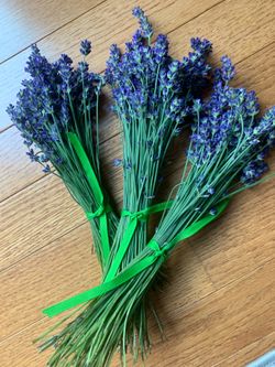 Dried fragrant lavender