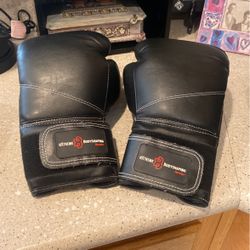 16 Oz Boxing Gloves  Very New