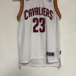 Lebron James Jersey 
