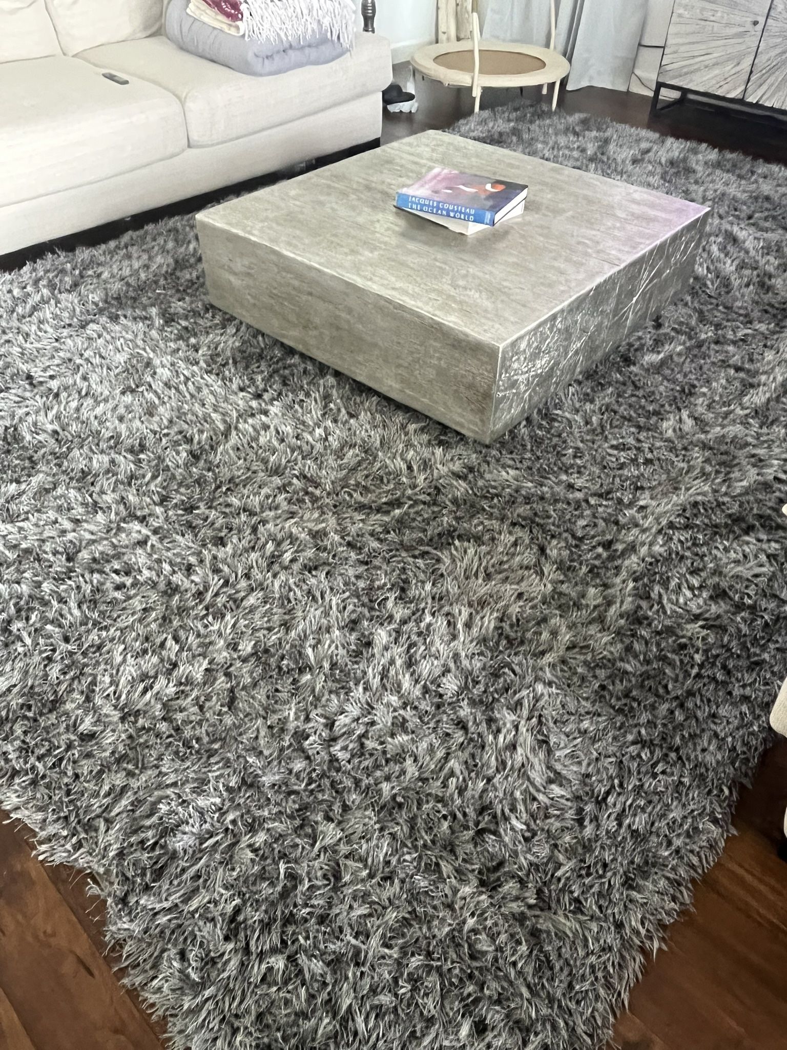 Like New Plush Shag Rug Living Spaces