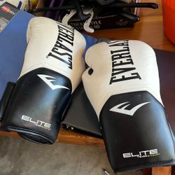 Everlast Boxing Gloves 