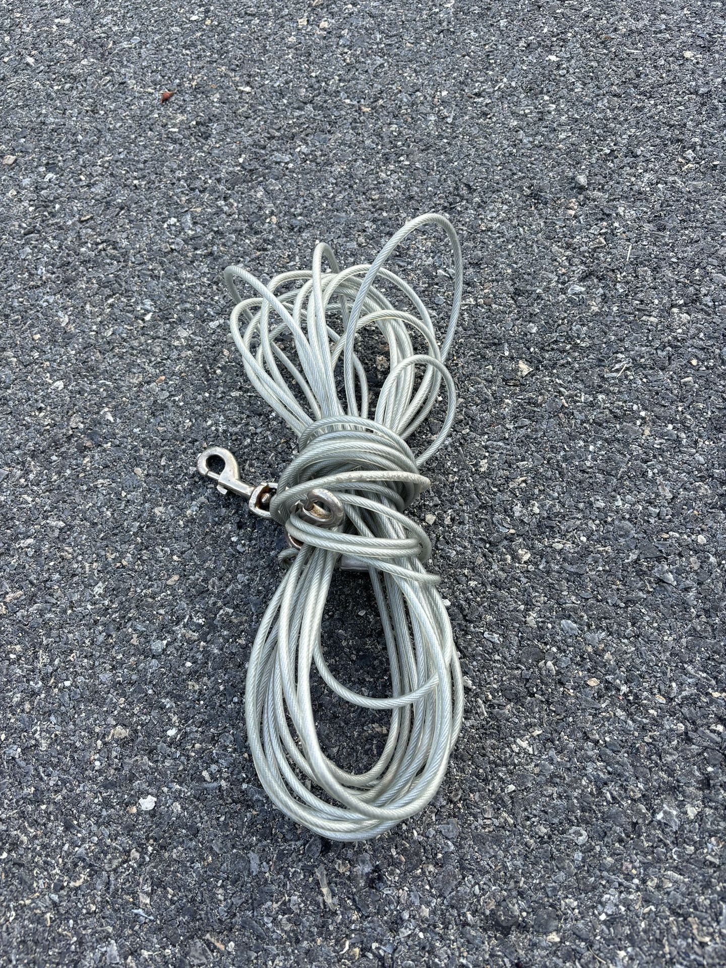 Dog Leads