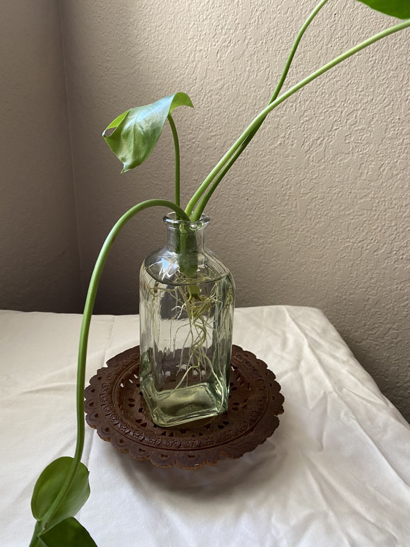 Wooden Plant Stand/Candle Holder