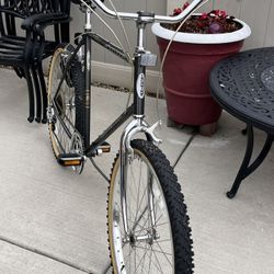 SCHWINN SUPER 6SPEED CRUISER 23” Frame
