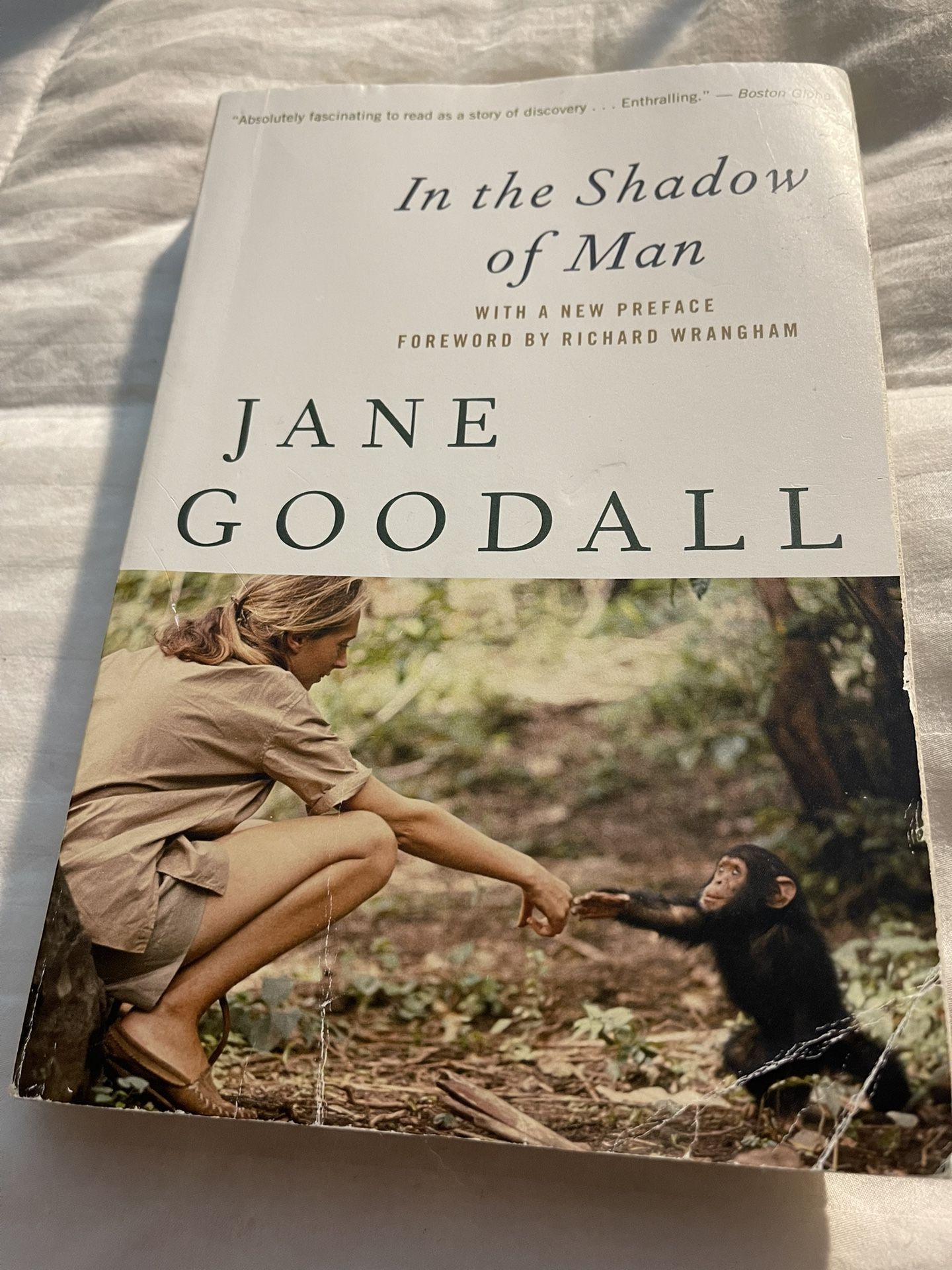 In the Shadow of Man Book