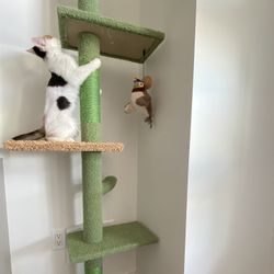Pawz Floor to Ceiling Cat Tree