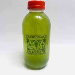 Phytoplankton Tetraselmis 