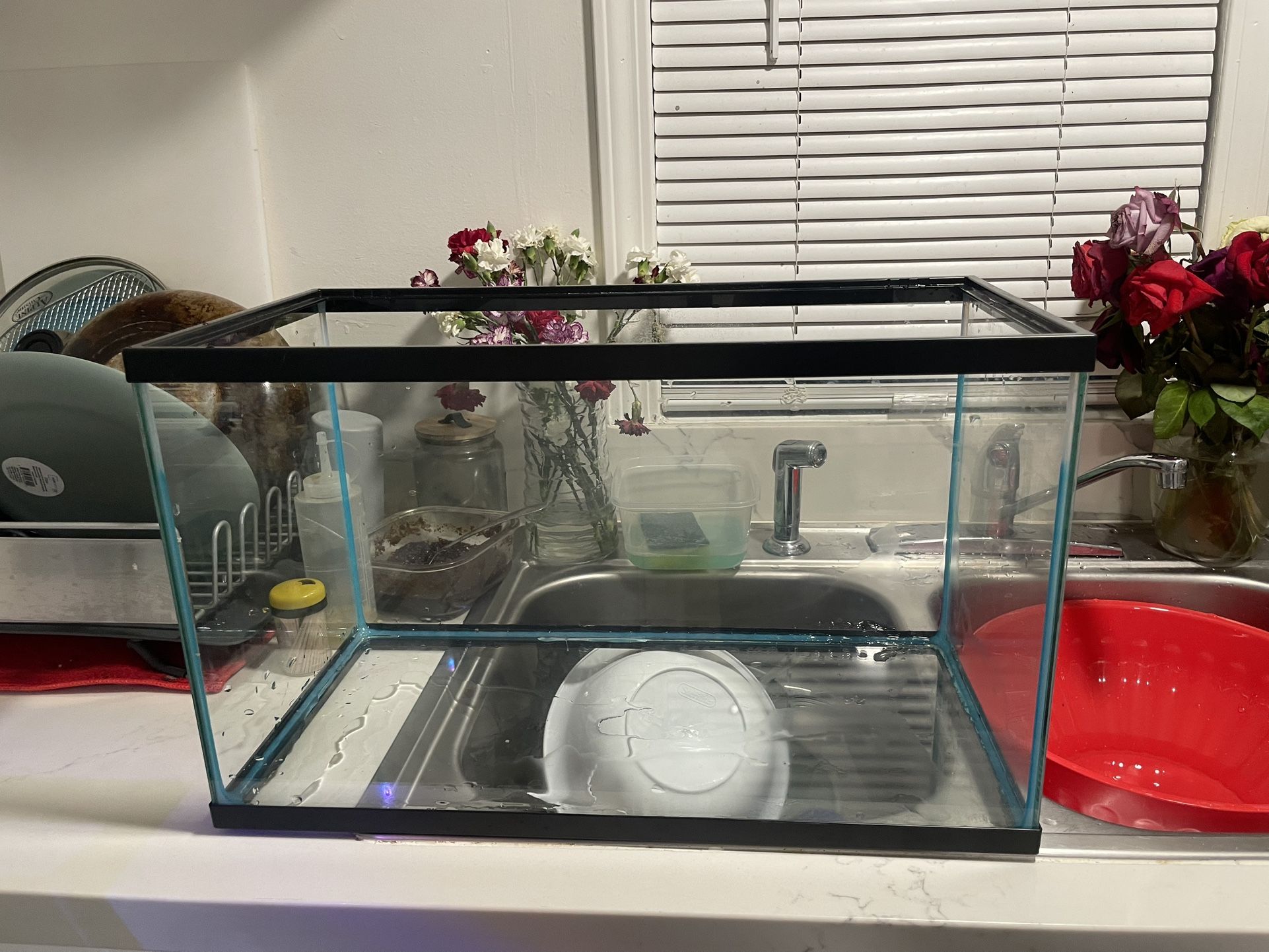 10 Gallon Fish Tank