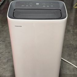 Toshiba Portable AC