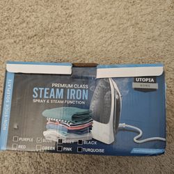 Steam iron