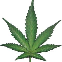 LM Treasures Cannabis Marijuana Weed Leaf Wall Decor