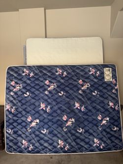 Free Serta queen size mattress and box spring.