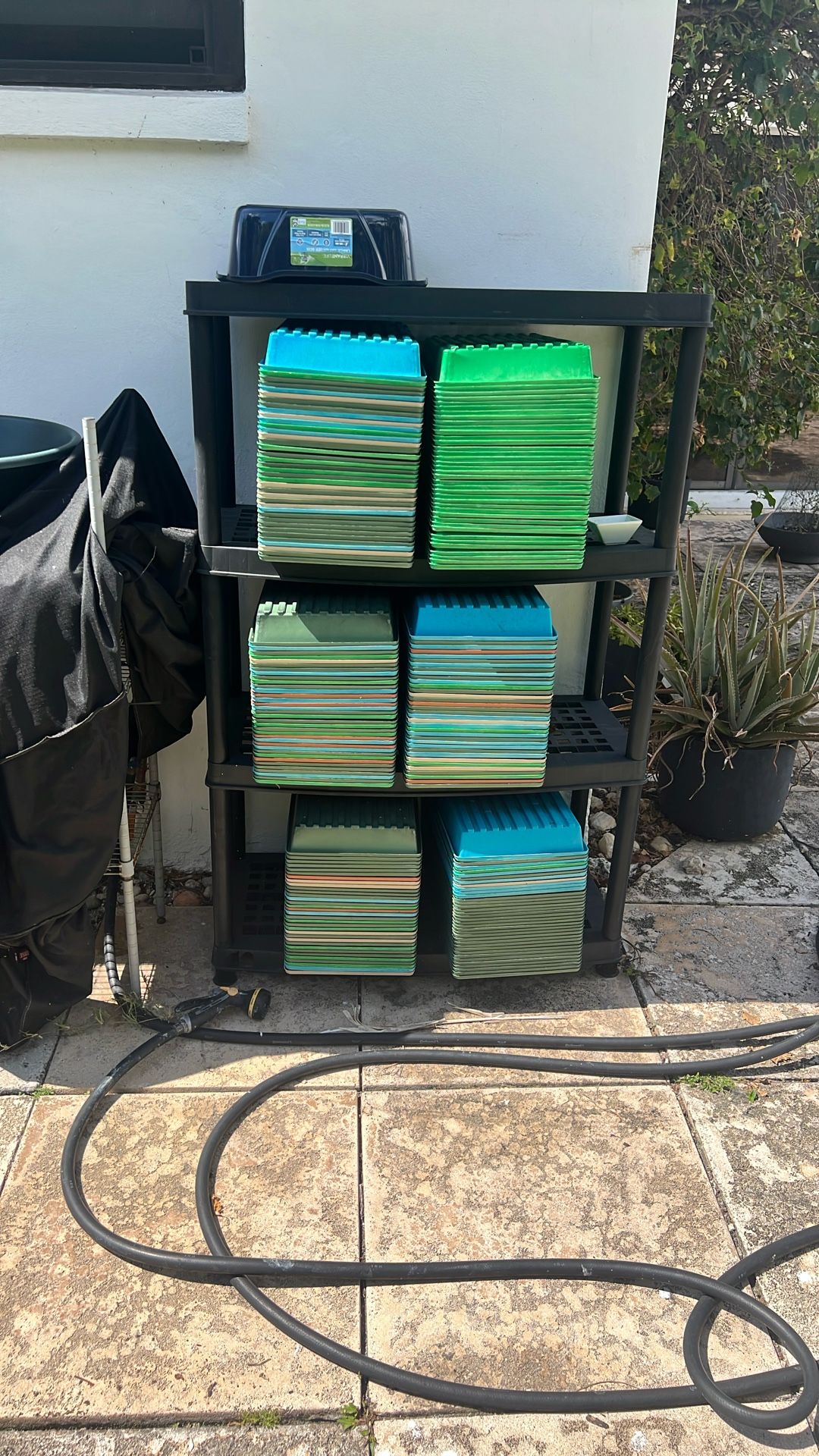 Grow Trays