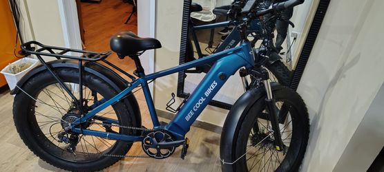 Bee Cool Bikes Fat Tire Electric Bike