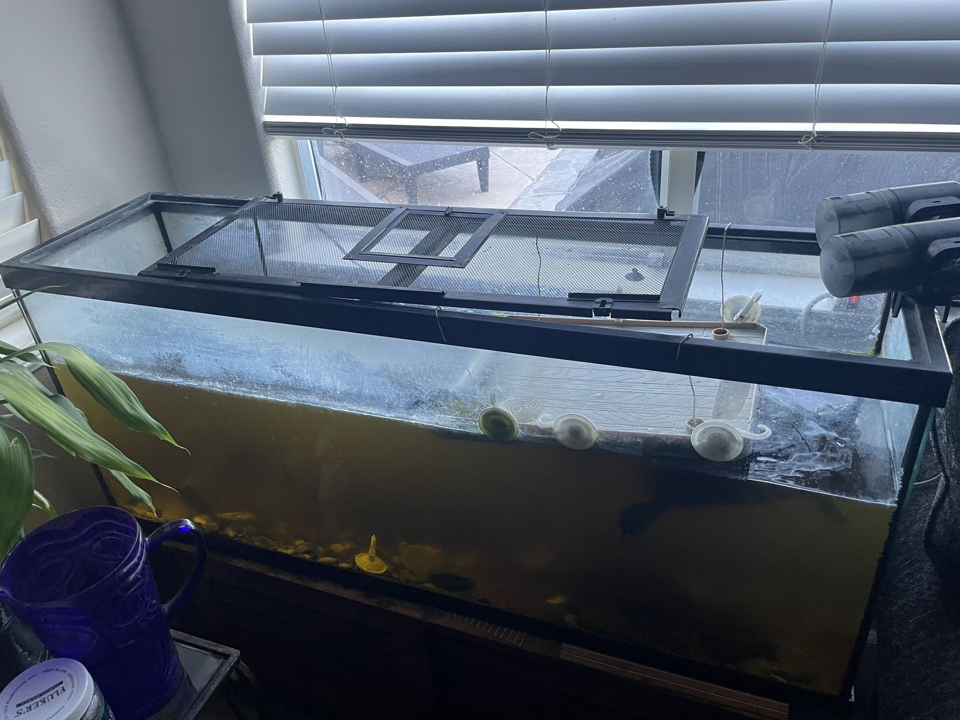 Fish Tank