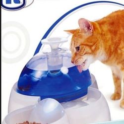 Water fountain for cats