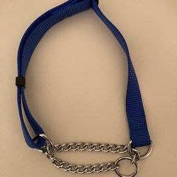 Blue Dog Pet Collar For Medium Sized Dog