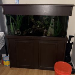 55 G Fish Stank With Set Up