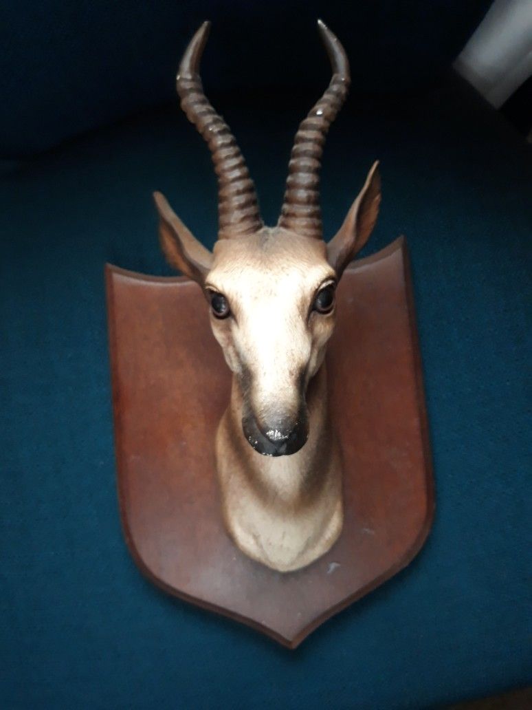 Wall Mount Antelope Head