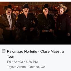 Palomazo Concierto