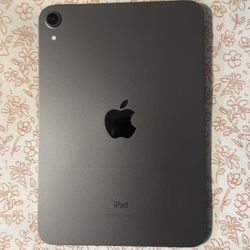iPad Mini 