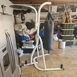 Punching Bag W/ Speed Bag