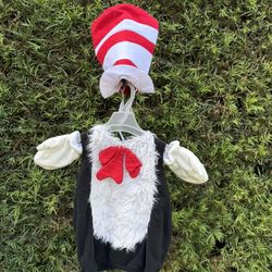 Cat in the Hat Costume