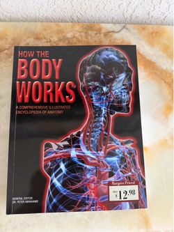 How The Body Works