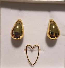 Stainless Steel Earring  and Ring Set 