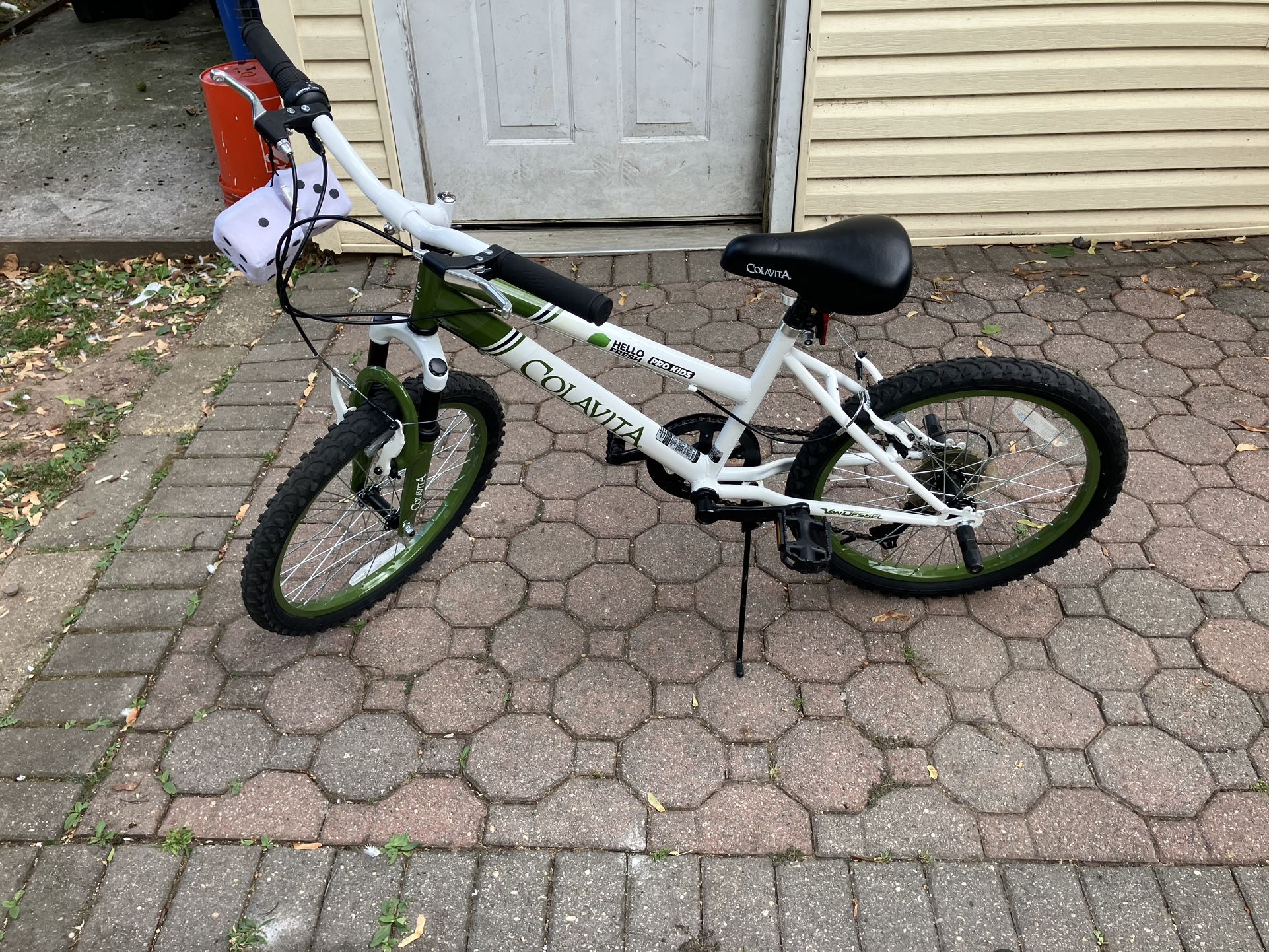 20 Inch Cola Vita Bike