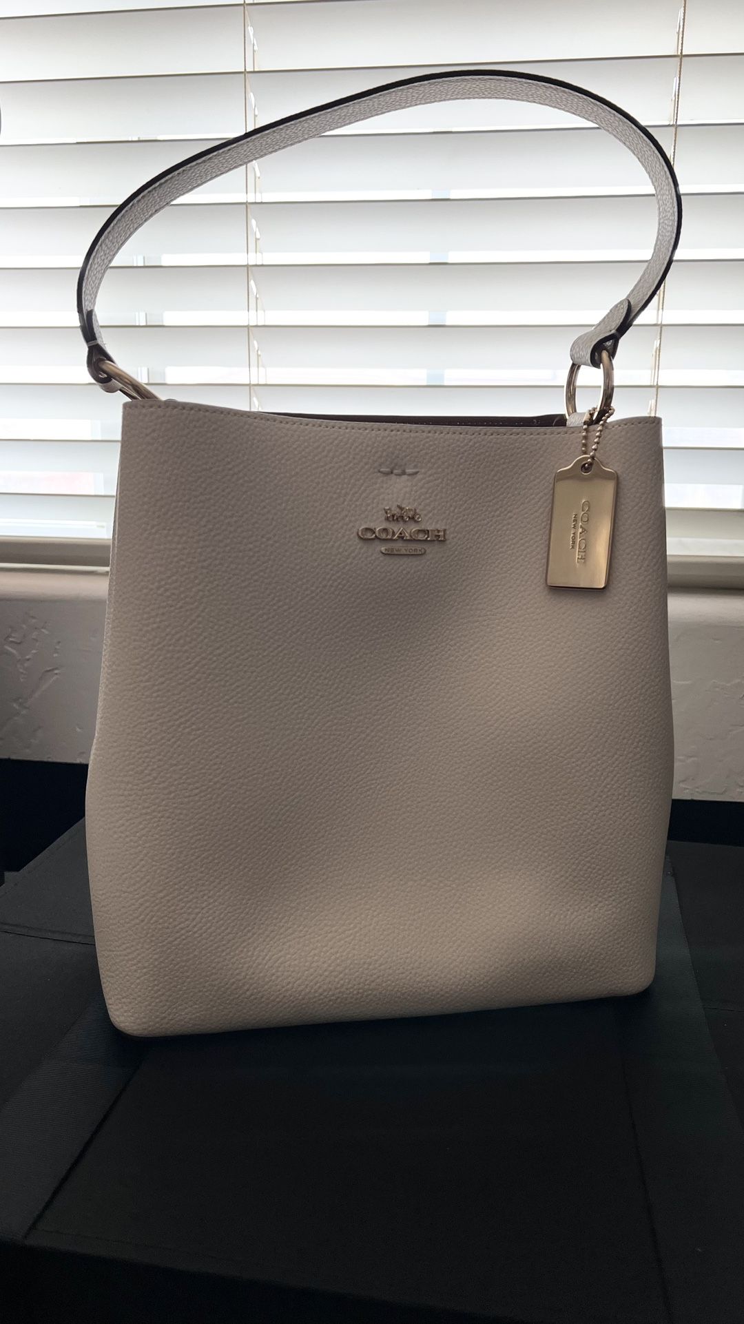 Coach Town Bucket Bag, Large (cream)