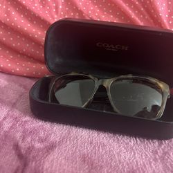Coach Sun Glasses 
