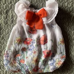 White with Summer Flowers Sheer Dress from Youngland in 0-3M