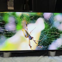 55” TCL Smart TV Roku 