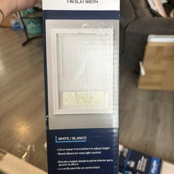 Project Source 35x64 in room darkening Vinyl Blinds 