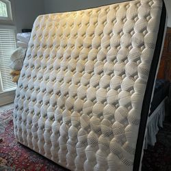 Wayfair Sleep Hybrid Mattress