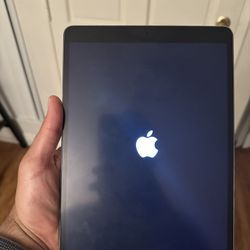 iPad Pro (2nd Generation)
