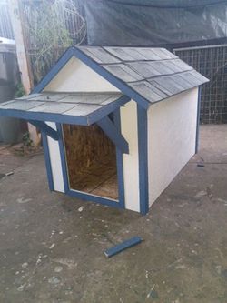 Large dog house