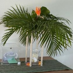 Acrylic Stands With Hurricane Vase