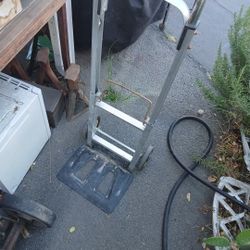 Moving Dolly