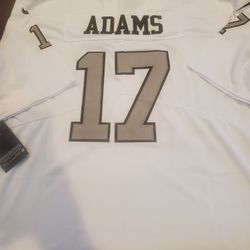 Raiders 