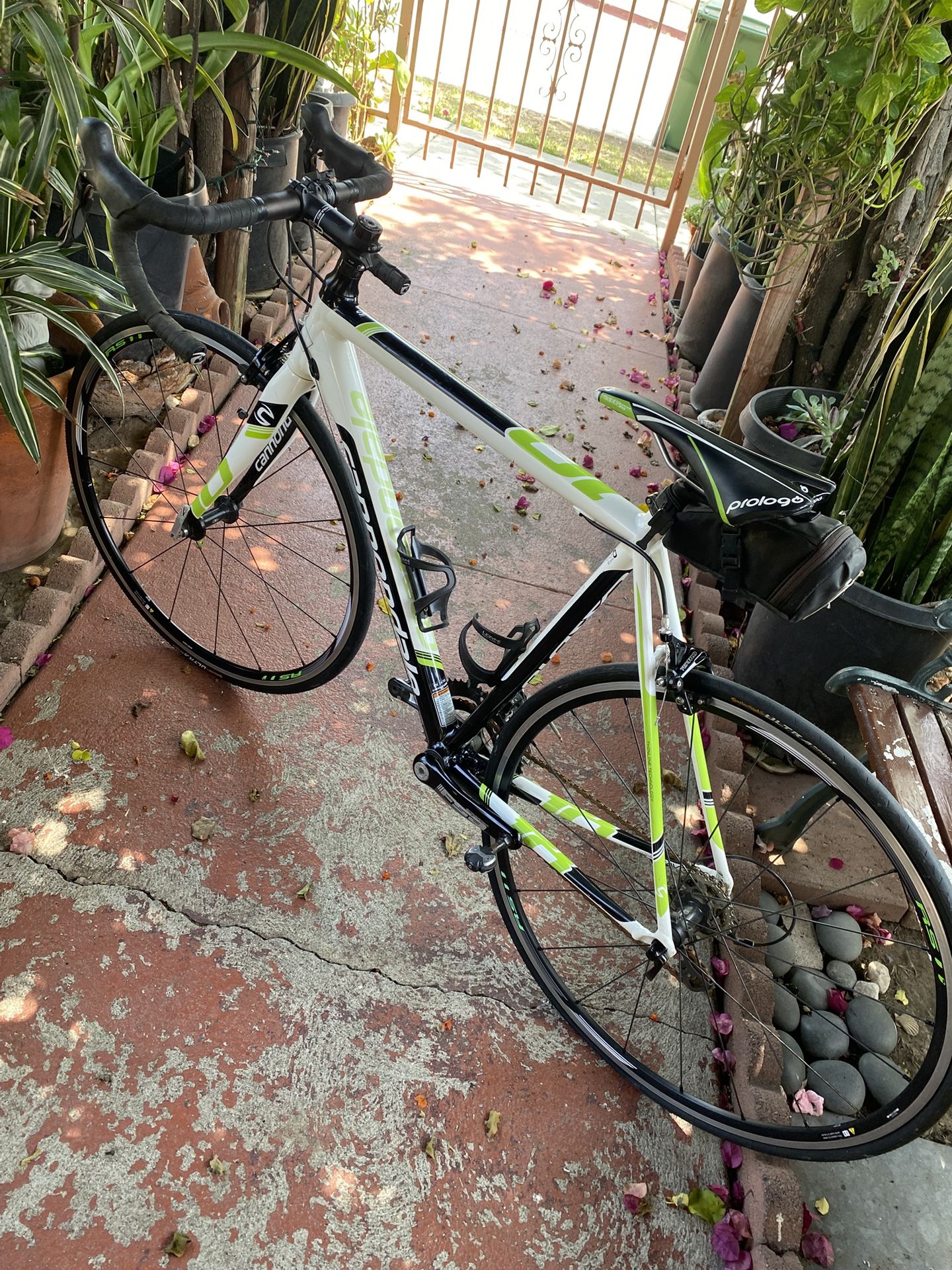 Cannondale Road Bike 54cm Aluminum